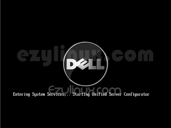 Dell Unified Server Configurator - Entering System service