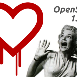 OpenSSL Heartbleed bug