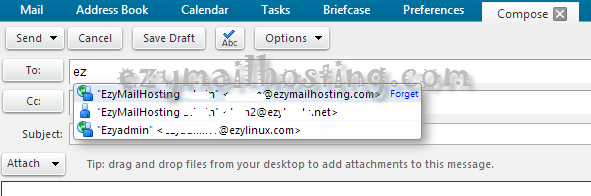 autocomplete all domain