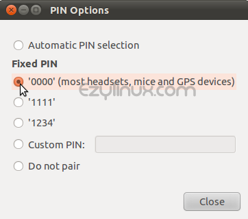 PIN Option