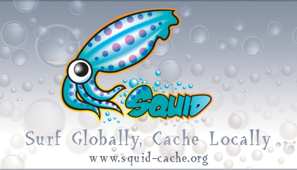 squid cache proxy