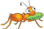 GlusterFS