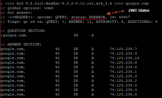 status of dns query